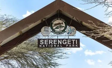 3 Day Tanzania Serengeti and Ngorongoro Private Safari