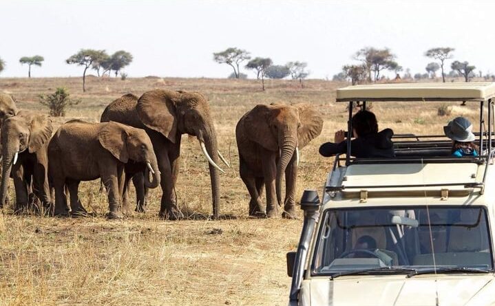 3 Days Tanzania Safari Serengeti and Ngorongoro Crater-Fly in1