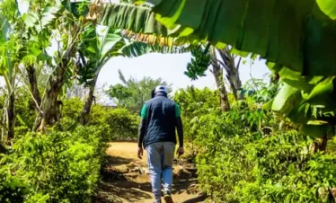 4 Day Malawi Sustainable Farming Experience