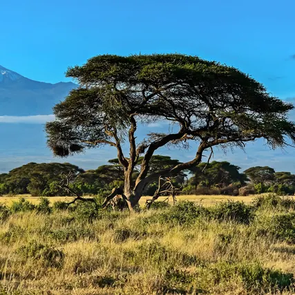 Kenya