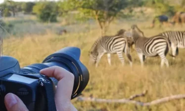 3 Days Tanzania Luxury Safari Fly in/out to Zanzibar