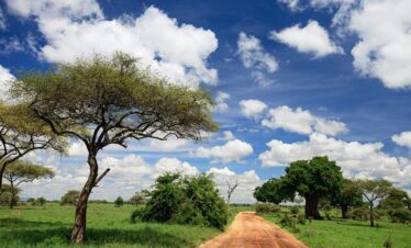 10 Days Uganda Highlight of Uganda Wildlife and Nature1