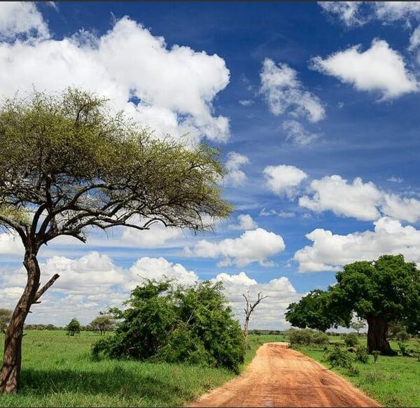10 Days Uganda Highlight of Uganda Wildlife and Nature1