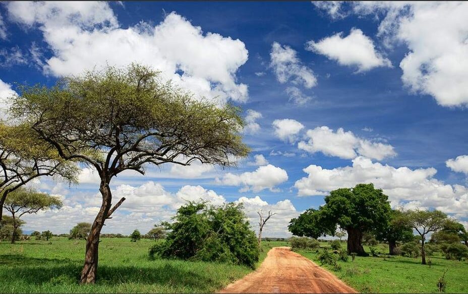 10 Days Uganda Highlight of Uganda Wildlife and Nature1