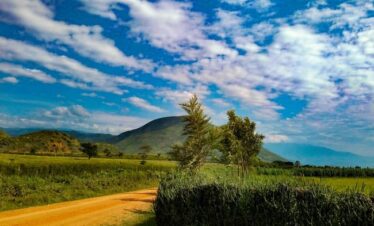 10 Days Uganda Highlight of Uganda Wildlife and Nature3