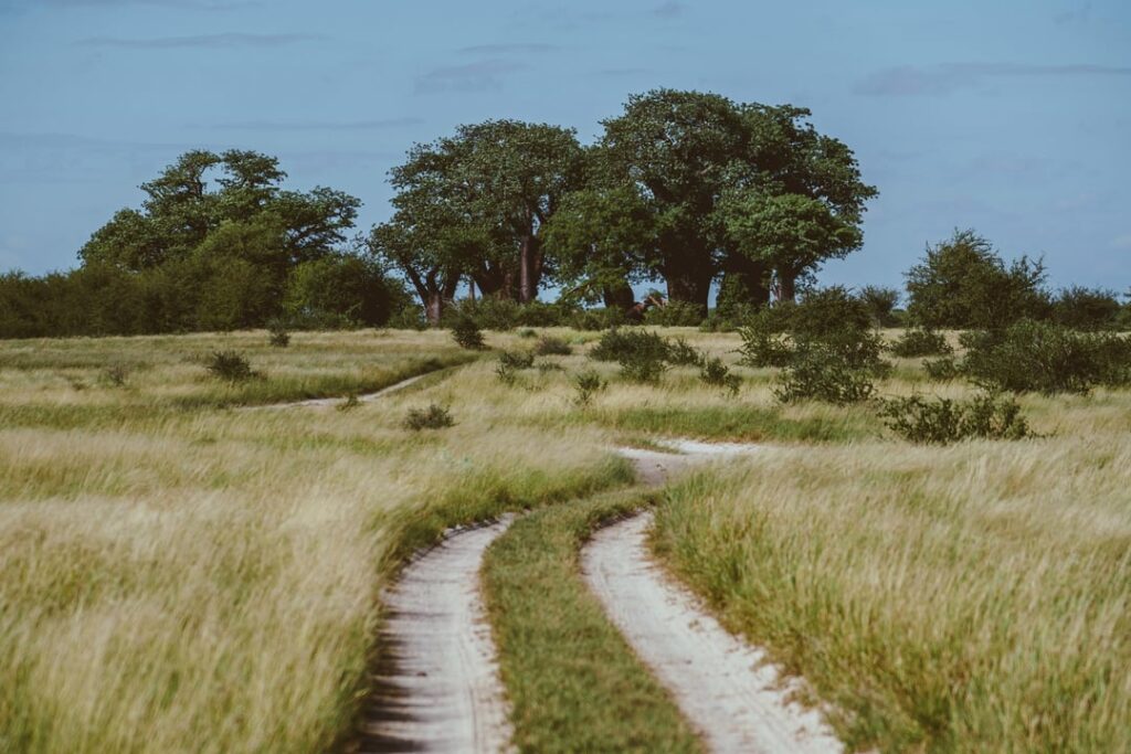 12 Days Kenya Photography Safari