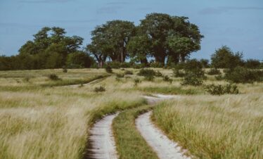 12 Days Kenya Photography Safari