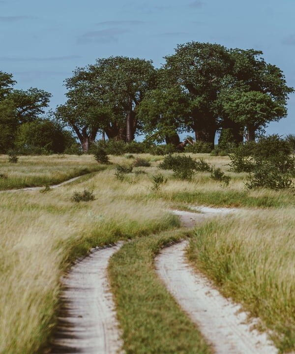 12 Days Kenya Photography Safari