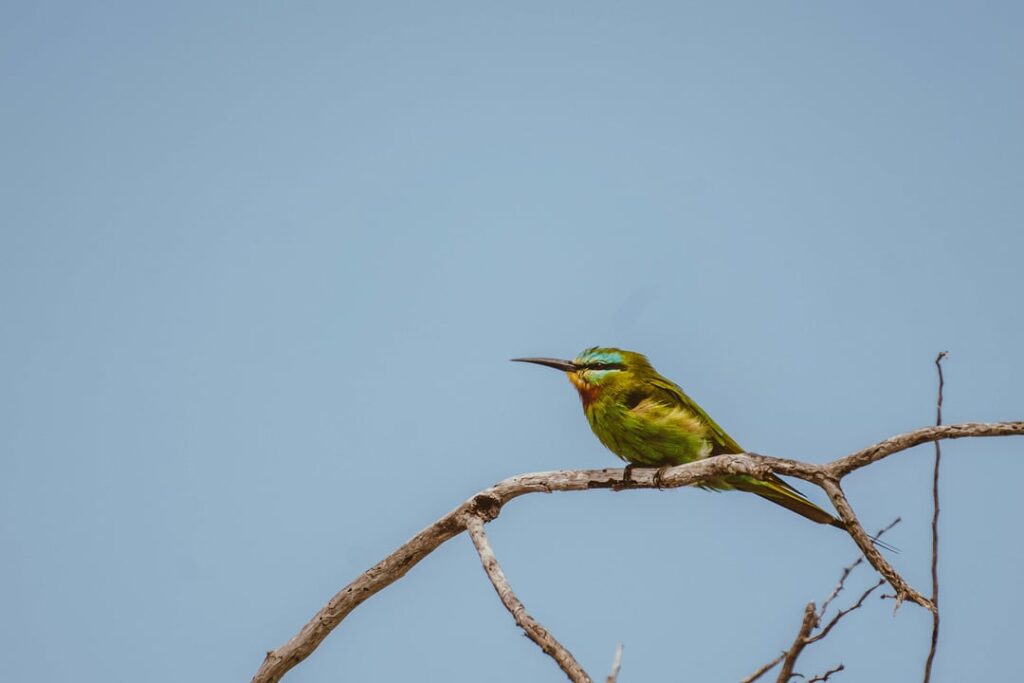 12 Days Kenya Photography Safari