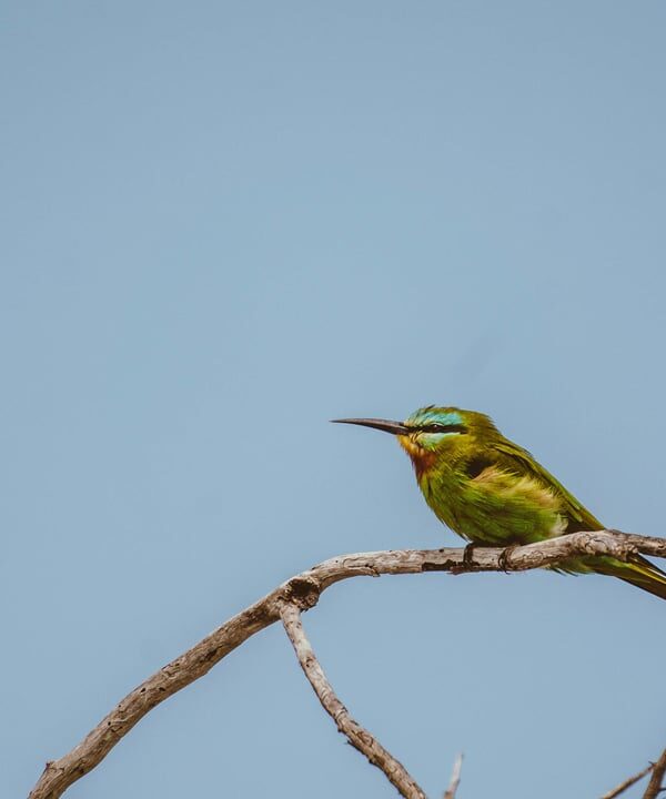 12 Days Kenya Photography Safari
