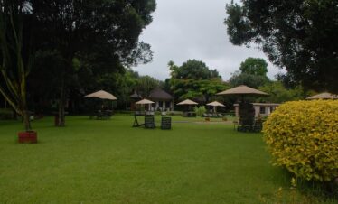 3 Days Tanzania Budget Lodge Safari