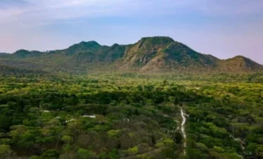 4 Day Malawi Nature Immersion & Adventure-Dzalanyama Forest Reserve Escape