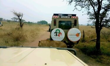 4 Days Tanzania Adventure - Tarangire, Serengeti & Ngorongo Crater