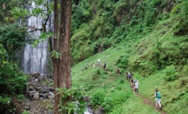 4 Days Uganda Gorillas Trekking Lake Bunyonyi