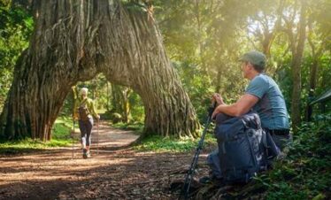 5 Day Tanzania Unforgettable Safari