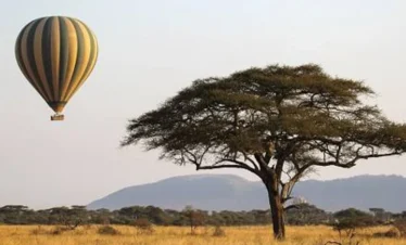 5 Days Tanzania Luxury Splendour of Tanzania's Grand Wild Safari