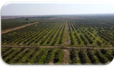 6 Day Malawi Farm to Industry Exploration Tour