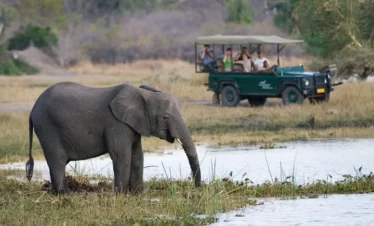 6-Day Malawi Luxury Wildlife Adventure-Liwonde National Park Safari Adventure