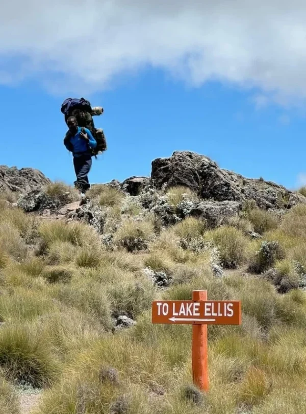 6 Days Tanzania Rongai Route (Mount Kilimanjaro Climbing)