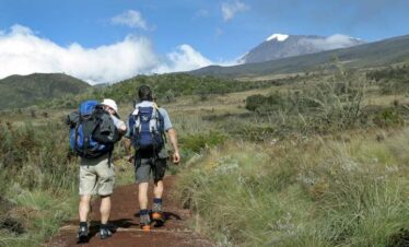 7 Day Tanzania Kilimanjaro Hiking via Lemosho Route Adventure
