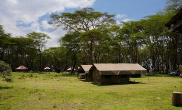 7 Days Tanzania Camping Safari