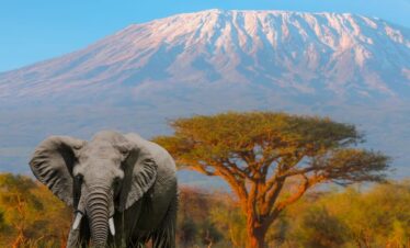 7 Days Tanzania Mount Kilimanjaro Rongai Route