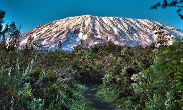 8 Days Kenya Wonderous Tour in the Bushes, Lakes and Mountains Safari