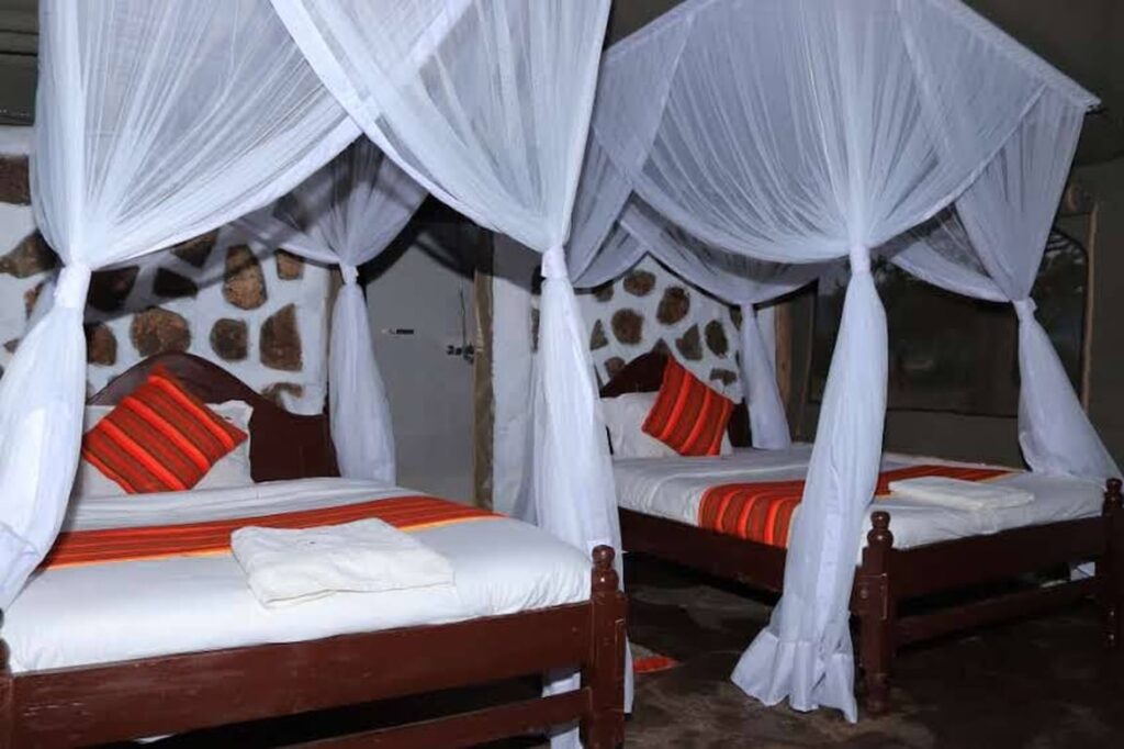Accommodations & Hotels Bookings