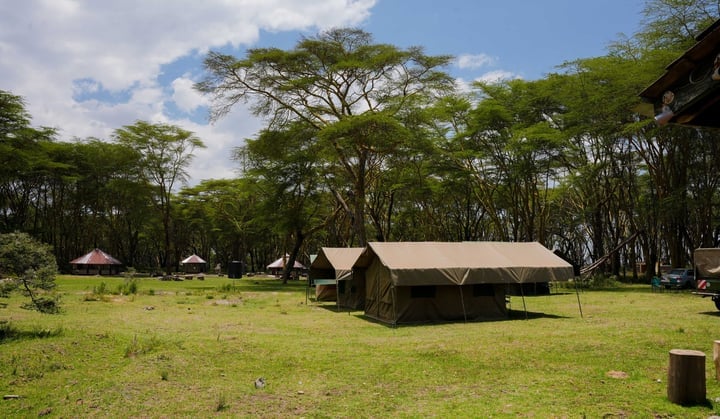 Africa Budget Camping Safaris1