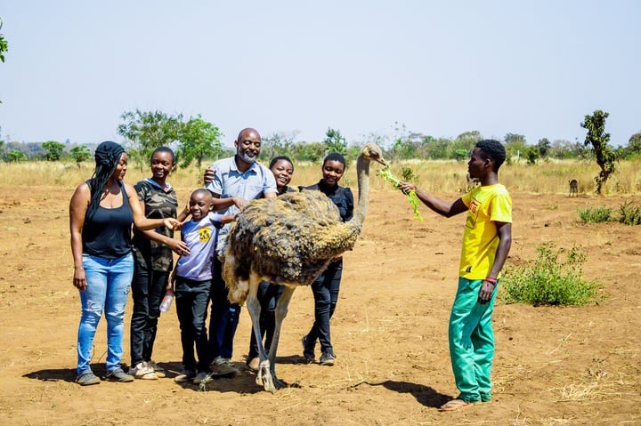 Looking for Africa Student Academic Tours