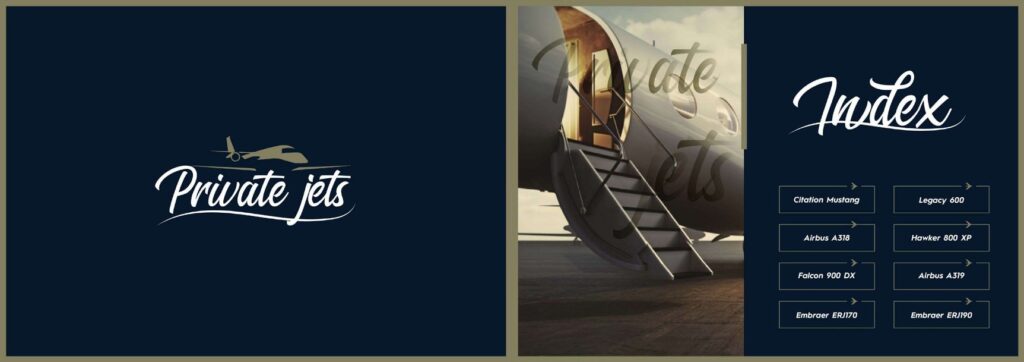 Egypt Air Private Charter Service & Jets Club1