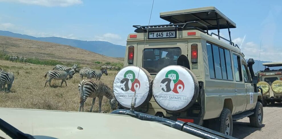 Serengeti National Park Game Drive