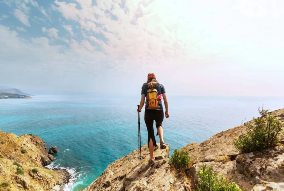 Experience the Best of Kenya The Ultimate Safari Beach Combo Holiday