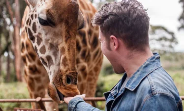 Giraffe Centre Day Tour