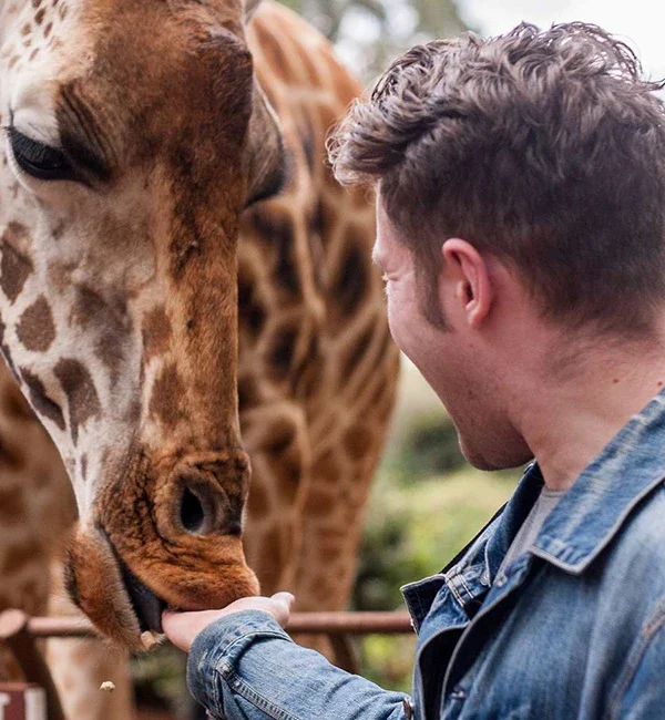 Giraffe Centre Day Tour