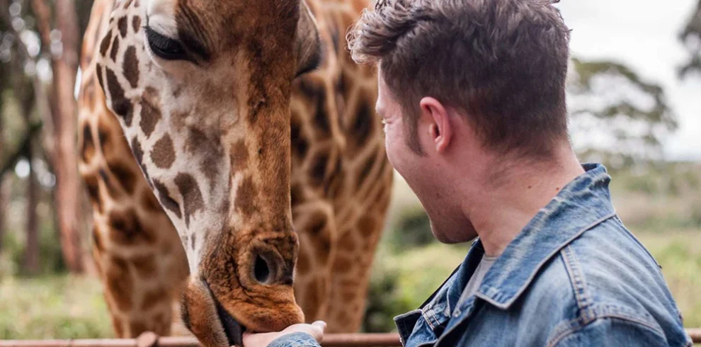 Giraffe Centre Day Tour