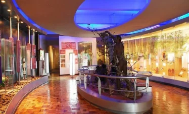 BerngosafarisKenyaNairobi National Museum Day Tour