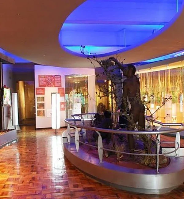BerngosafarisKenyaNairobi National Museum Day Tour