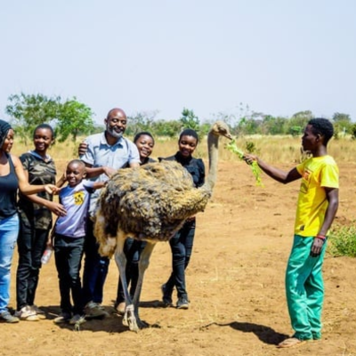 Not For Profits and Volunteers